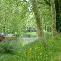 une péniche sous une quadruple rangée de platanes (canal de la Garonne)
