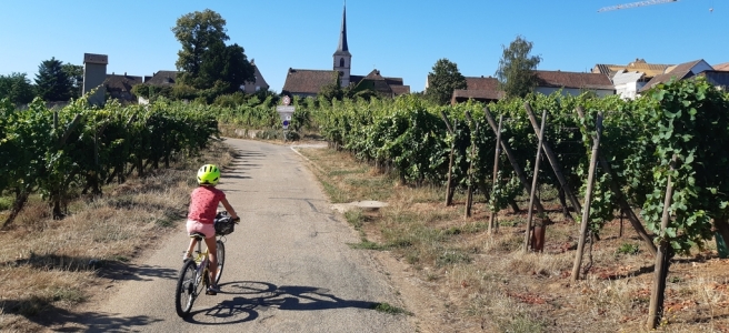 Véloroute du vignoble d'Alsace